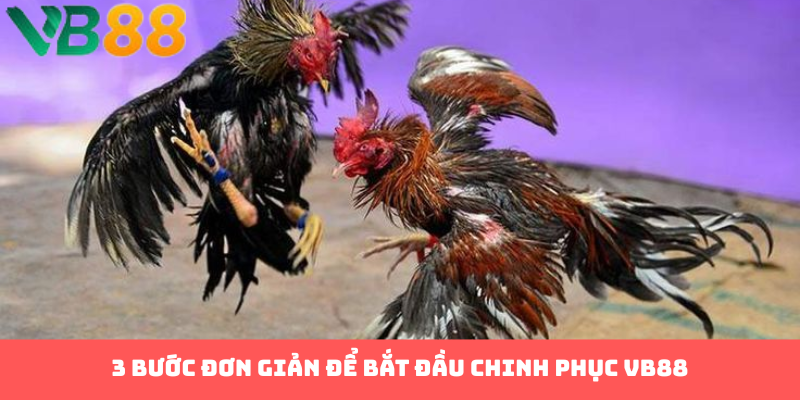 3 bước đơn giản để bắt đầu chinh phục VB88