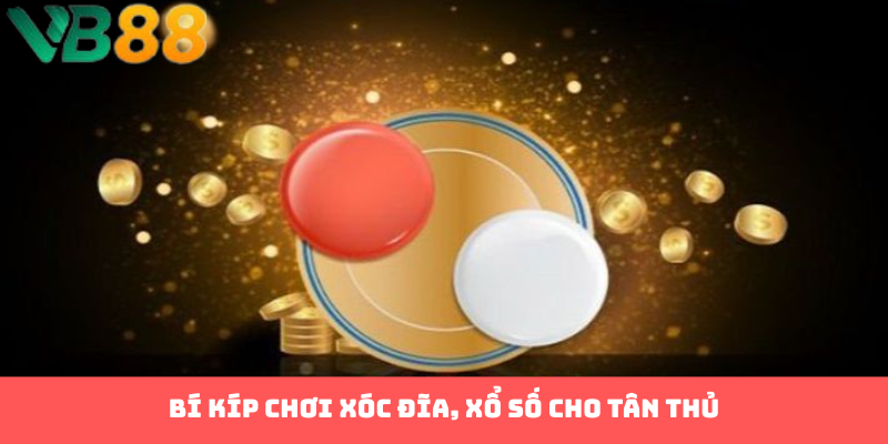 Bí kíp chơi xóc đĩa, xổ số cho tân thủ