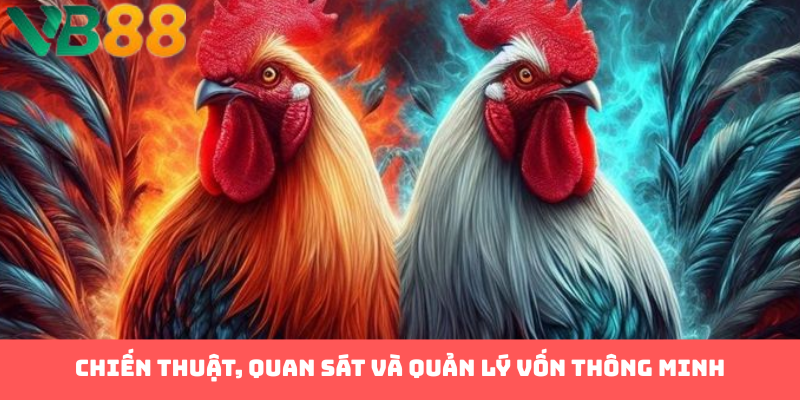 Chiến thuật, quan sát và quản lý vốn thông minh