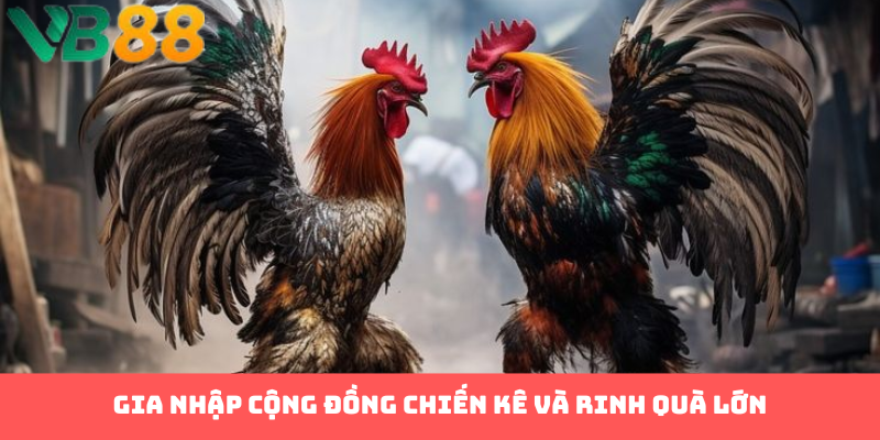 Gia nhập cộng đồng chiến kê và rinh quà lớn