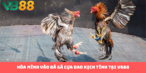 Hướng Dẫn Tham Gia Đá Gà Cựa Dao VB88: Đỉnh Cao Cảm Xúc