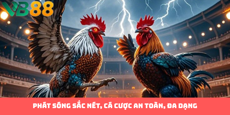Phát sóng sắc nét, cá cược an toàn, đa dạng