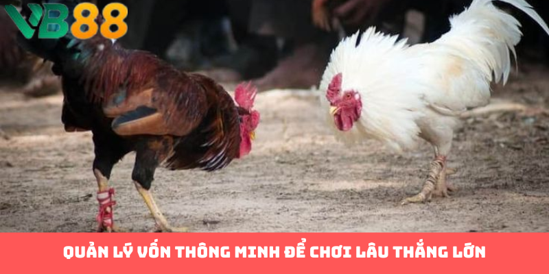 Quản lý vốn thông minh để chơi lâu thắng lớn