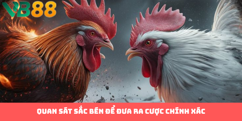 Quan sát sắc bén để đưa ra cược chính xác
